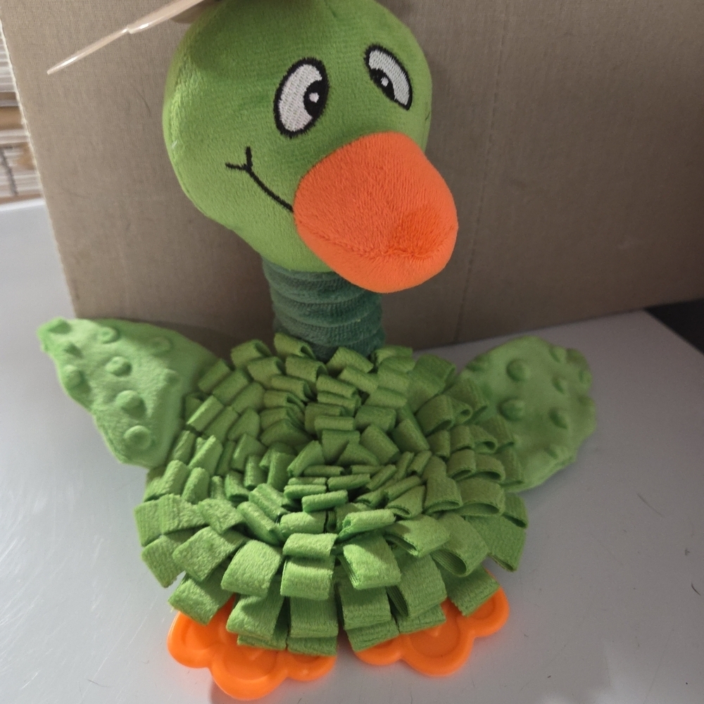 Cheerful Green and Orange Dog Toy